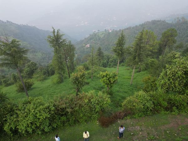 Land in Solan HP