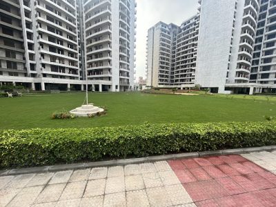 PAREENA EXPRESS HEIGHT 99