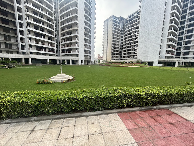 PAREENA EXPRESS HEIGHT 99