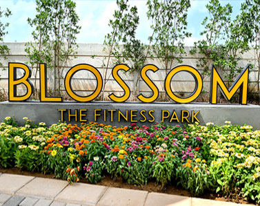 BPTP District 6 Plots