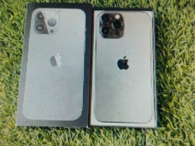 iPhone 13 Pro Max 256 GB